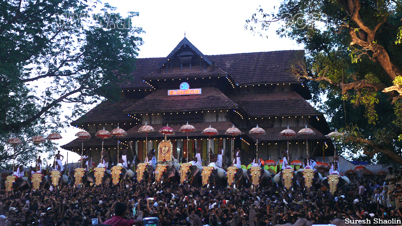 thrissur-pooram-2011- (46)